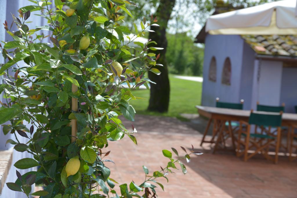 Casa Fontanino Bed & Breakfast Altopascio Exterior photo